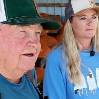 Combination of factors lead to 'worst' pumpkin harvest in decades