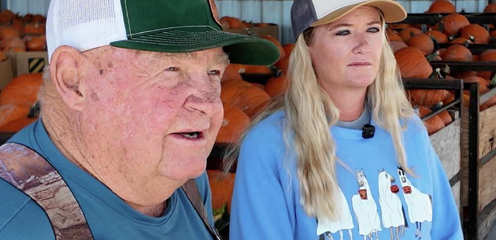 Combination of factors lead to 'worst' pumpkin harvest in decades