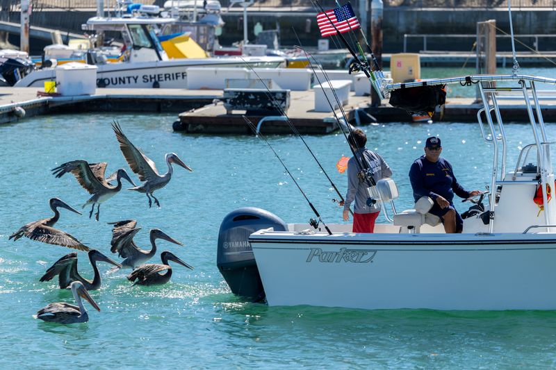 Exotic species appear off California thanks to an unusually strong El Niño