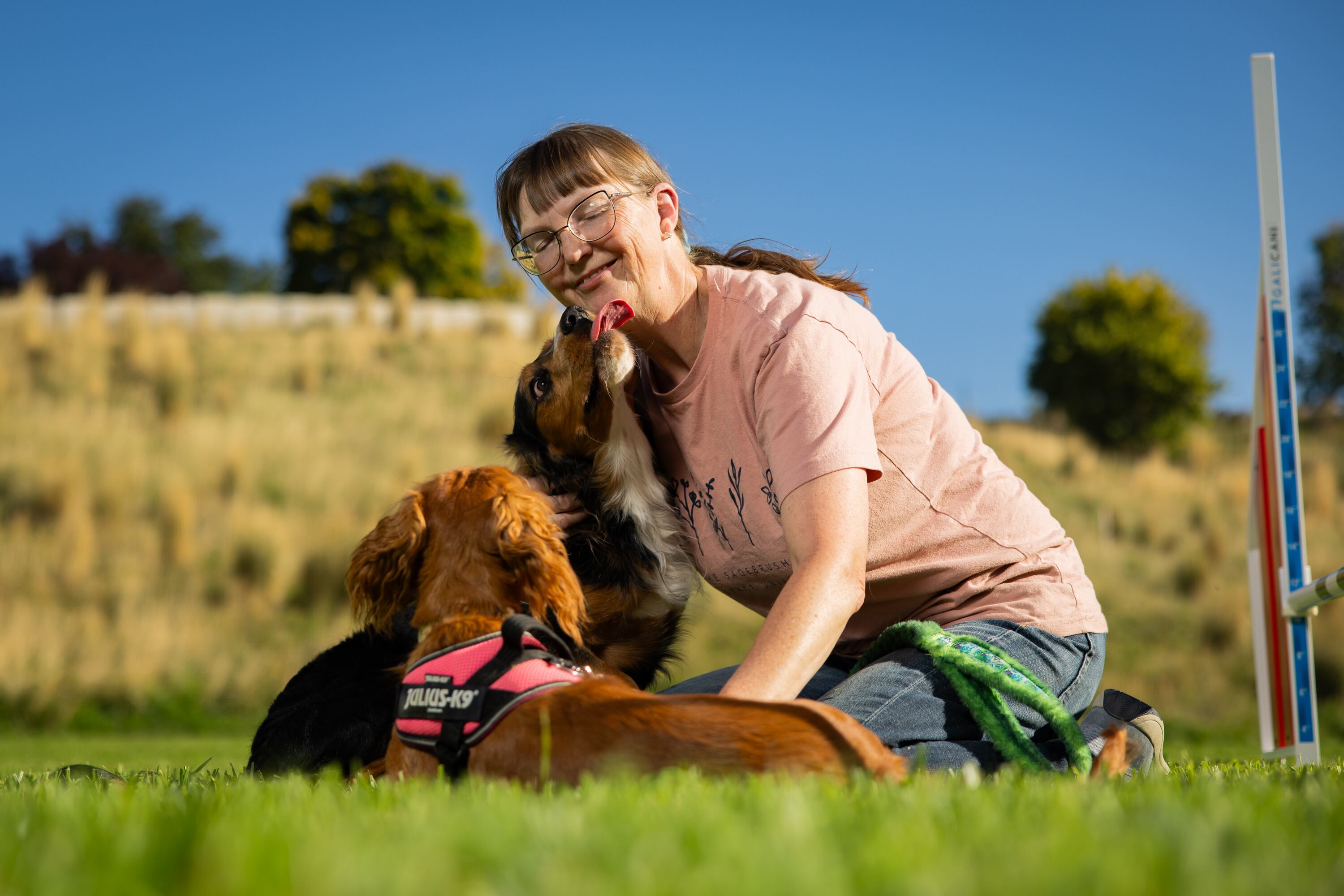 Westminster Dog Show taps Utahn as agility judge