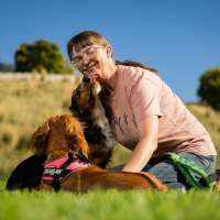 Westminster Dog Show taps Utahn as agility judge