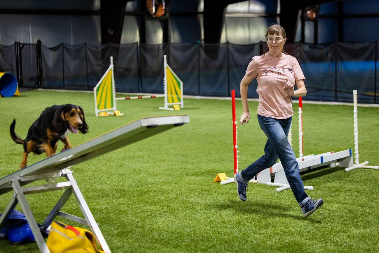 Tracy Mazur, a dog trainer and dog show judge who has been selected to be a judge at the Westminster Dog Show in New York in January 2027, right, demonstrates agility training with her dog Quill for the Deseret News at Versa Dog Training, where she trains her dogs, in Layton on Sept. 30.