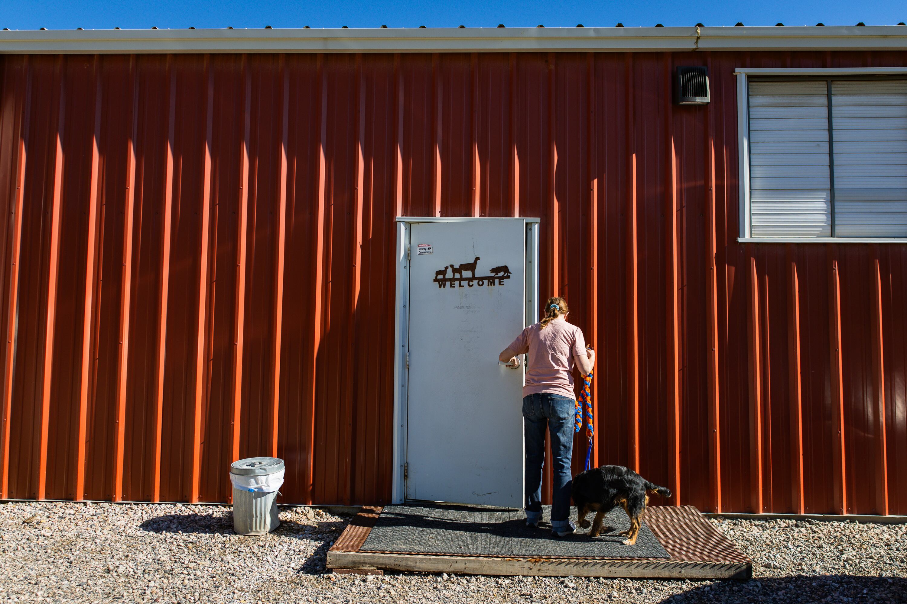 Tracy Mazur, a dog trainer and dog show judge who has been selected to be a judge at the Westminster Dog Show in New York in January 2027, walks inside to demonstrate agility training with her dog Quill for the Deseret News at Versa Dog Training, where she trains her dogs, in Layton on Sept. 30.