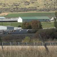 Intruders break into mink farm, release about 1,500