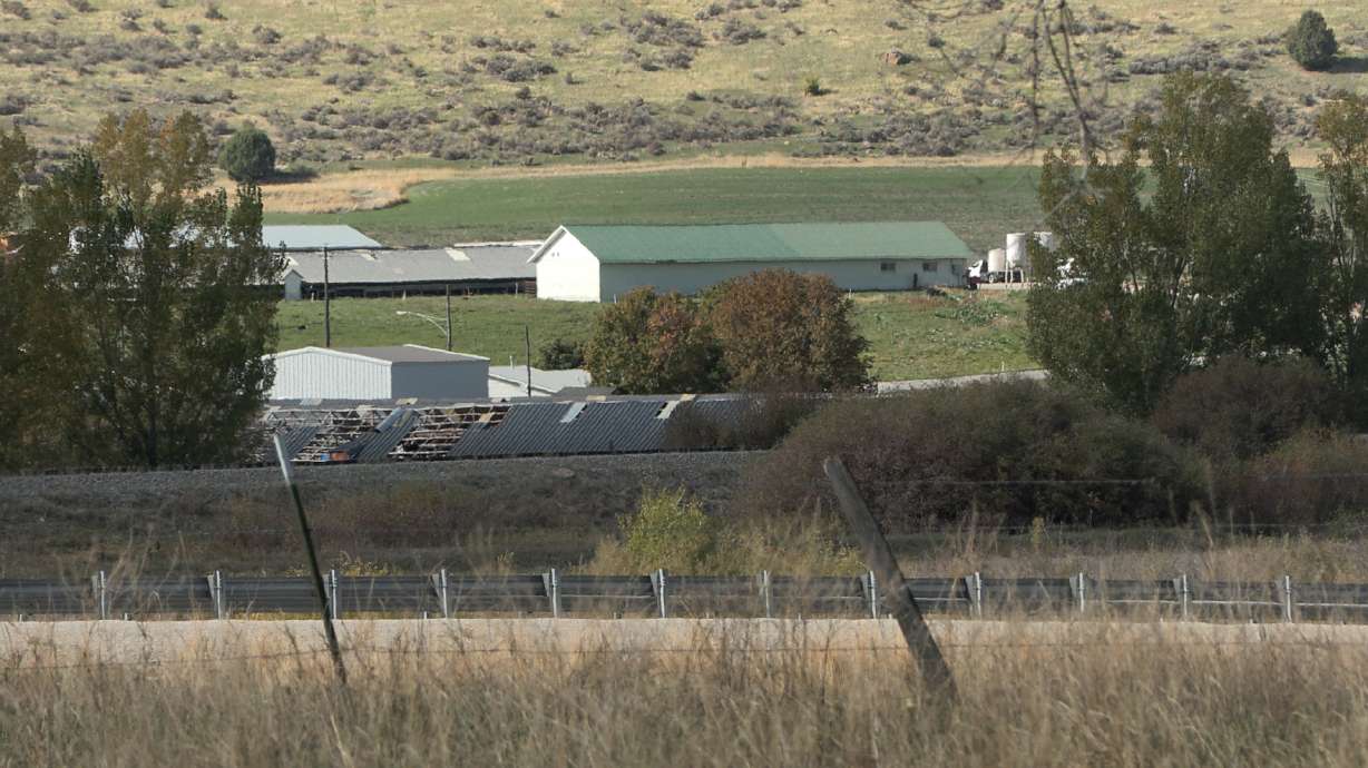 A view of the Hobbs's mink farm, from U.S. 89/91, in Franklin, Idaho. The owners of an Idaho mink farm say intruders broke into their facility, releasing some 1,500 of the animals. Dozens are still out free and pose a danger to small pets and farm animals.