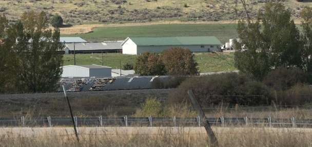 Intruders break into mink farm, release about 1,500
