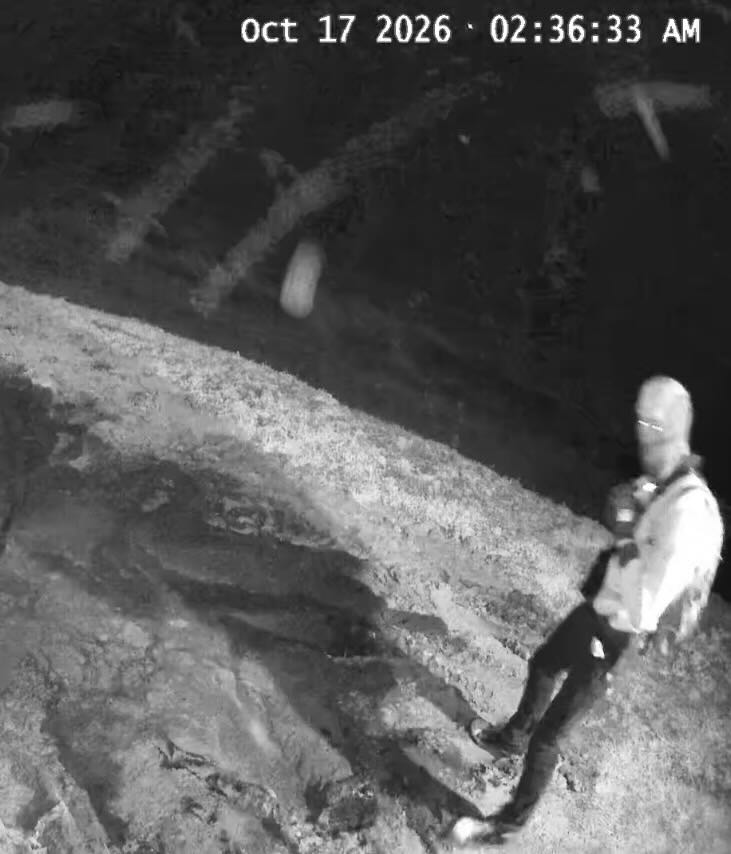 Security footage of a suspected intruder at the Hobbs family farm early Saturday.
