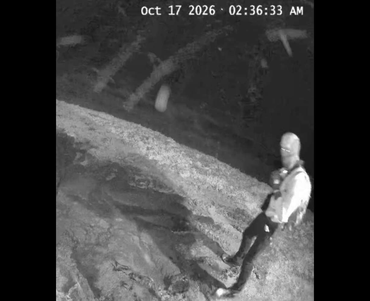 Security footage of a suspected intruder at the Hobbs family farm early Saturday.