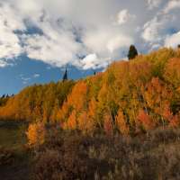 7 of the top fall attractions in northern Utah