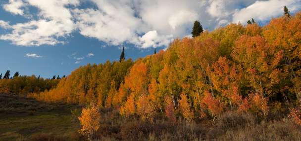 7 of the top fall attractions in northern Utah