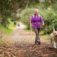 7 things to consider before adopting a pet