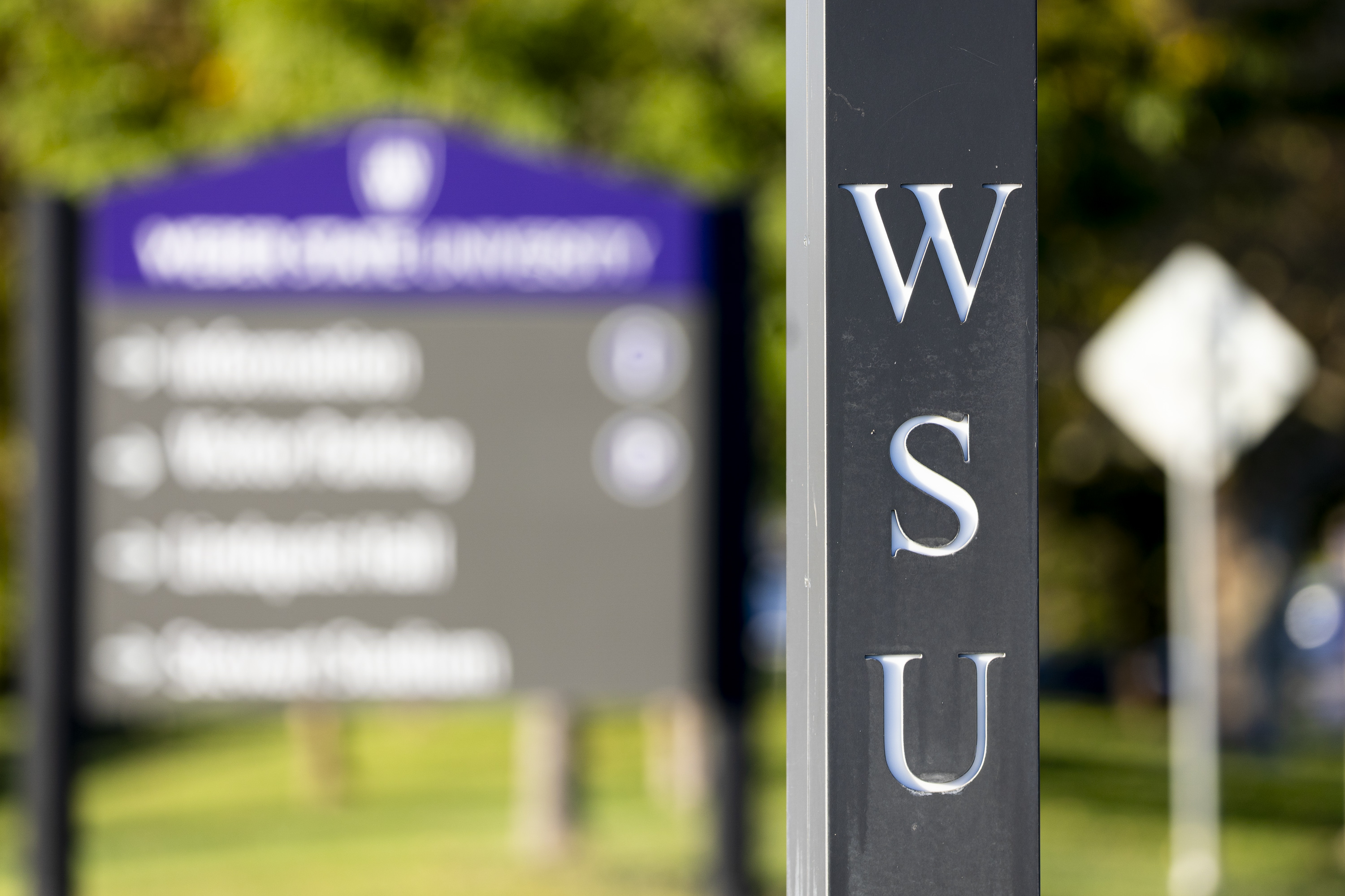 Weber State University reports record numbers in enrollment, degrees