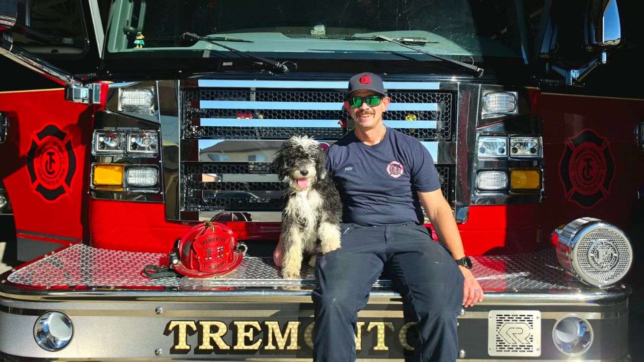 Rosie the sheepadoodle joins Tremonton firefighters as therapy dog
