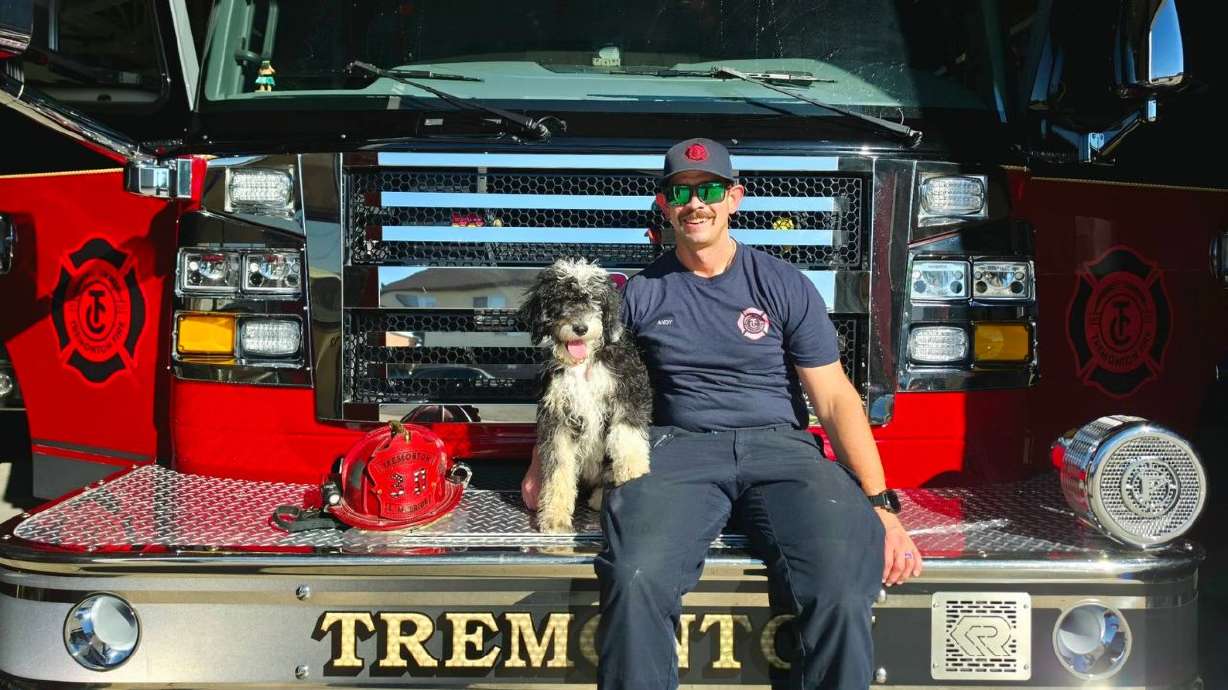 Meet Rosie, a 5-month-old sheepadoodle with the Tremonton Fire Department. She's in training to become a therapy dog and to help support the well-being of firefighters.