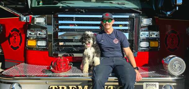 Rosie the sheepadoodle joins Tremonton firefighters as therapy dog