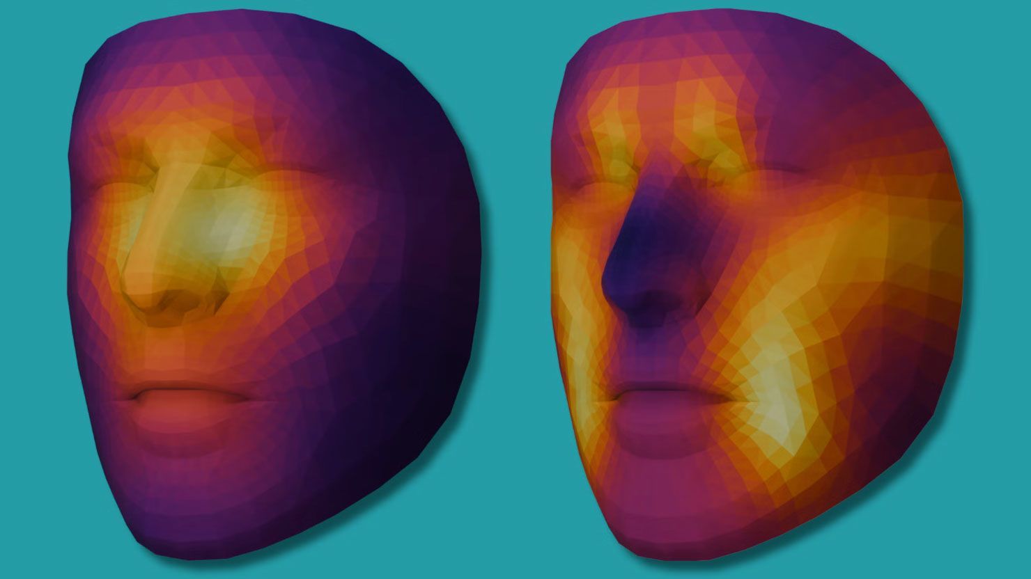 The mortality risk prediction algorithm and the age estimation algorithm look at different parts of the face to make their assessments.