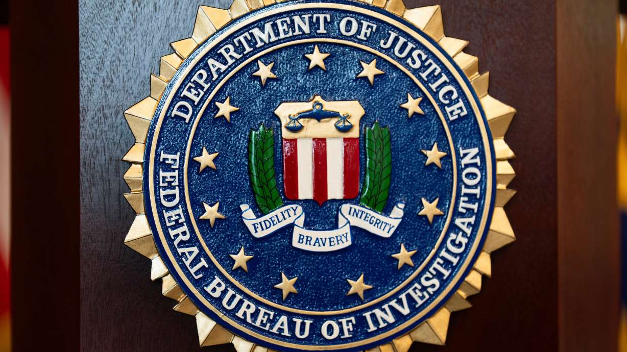 An AI-assisted discovery of vulnerabilities in a widely used programming language led governments and other organizations in Europe and the U.S. to take their websites offline temporarily Wednesday.