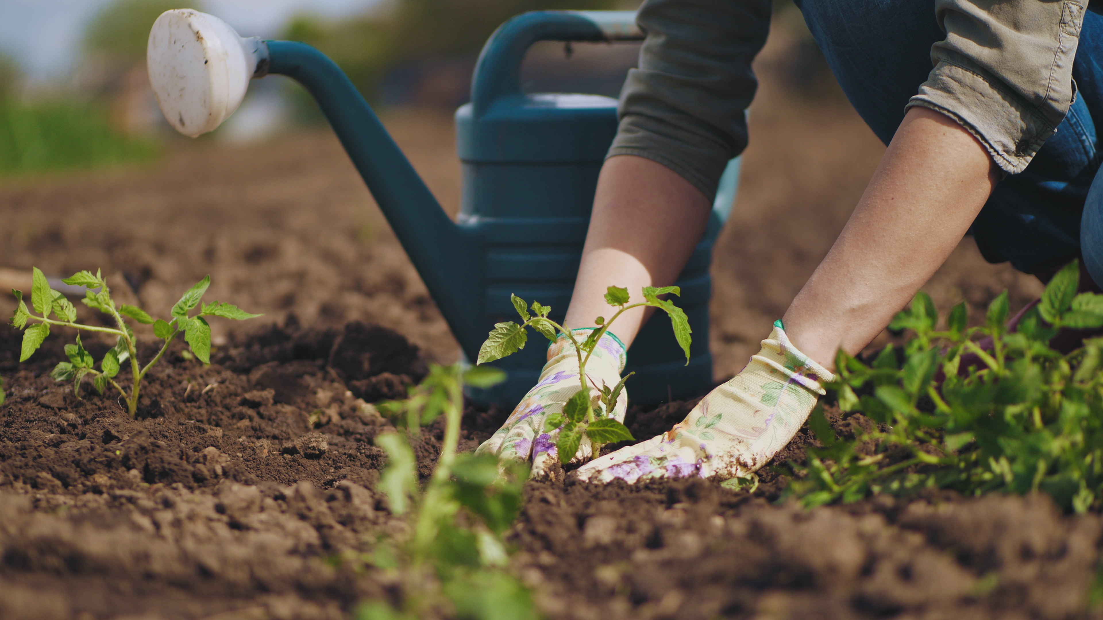 Utah Apple Crunch connects kindergarteners with local farmers