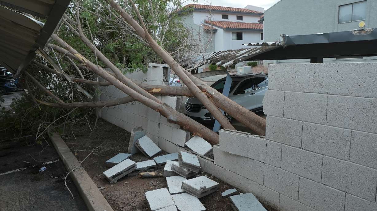 Uprooted trees cause damage at a local apartment complex after storms hit the area, Wednesday, in Mesa, Ariz. Violent storms moved through central Arizona overnight, toppling trees and power poles.