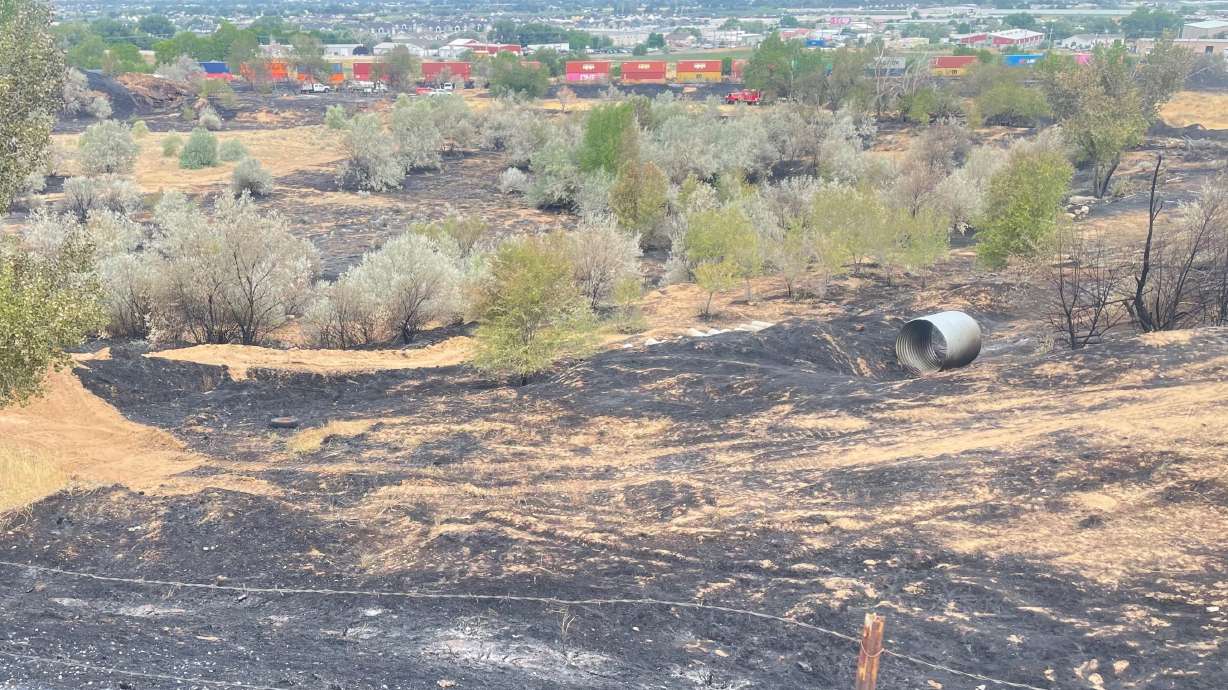 A July 20 fire north of Roy likely started when a passing freight train struck a power line, according to an investigation released Wednesday. The July 21 photo shows the impacted area.