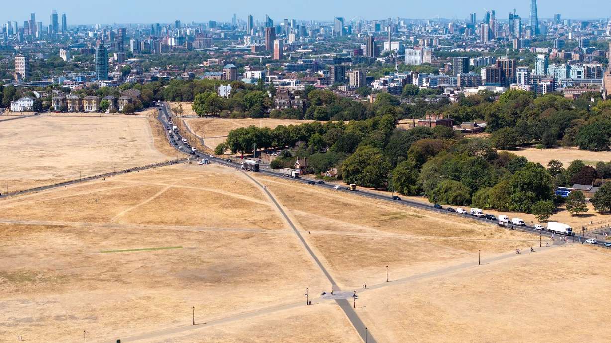 An aerial view of scorched grass in London on Aug. 11. Extreme heat in London and across Europe this summer is blamed for tens of thousands of deaths.