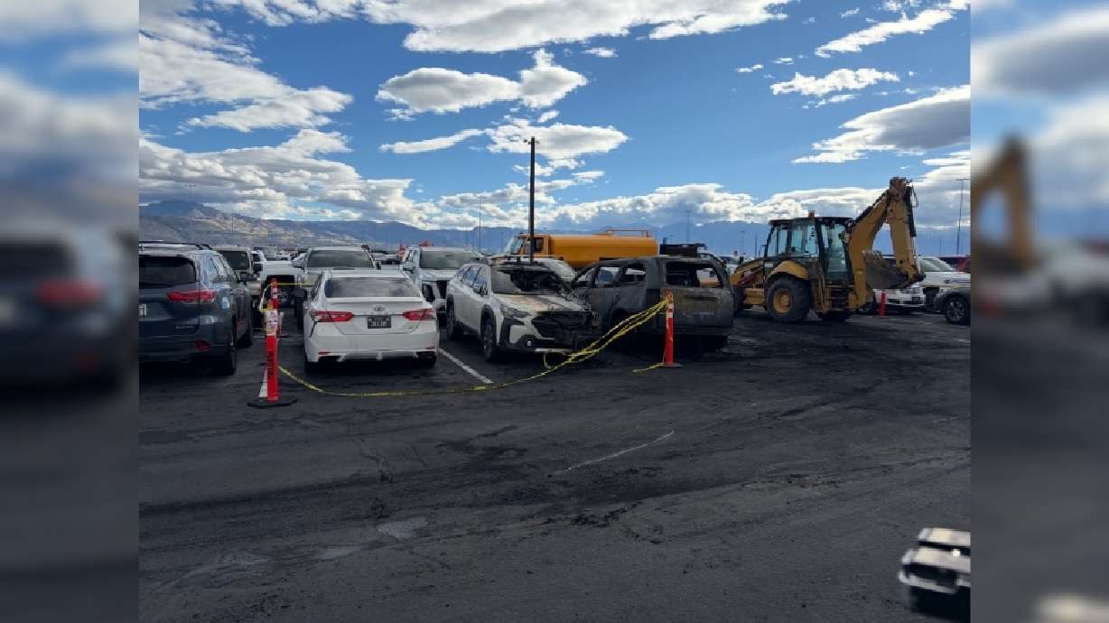 A vehicle fire started early Friday at the economy parking lot of the Salt Lake International Airport, damaging 12 different vehicles.