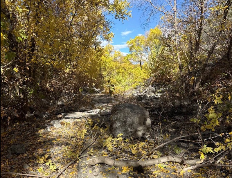 Rockslide near Bridal Veil Falls closes section of Provo Canyon trail