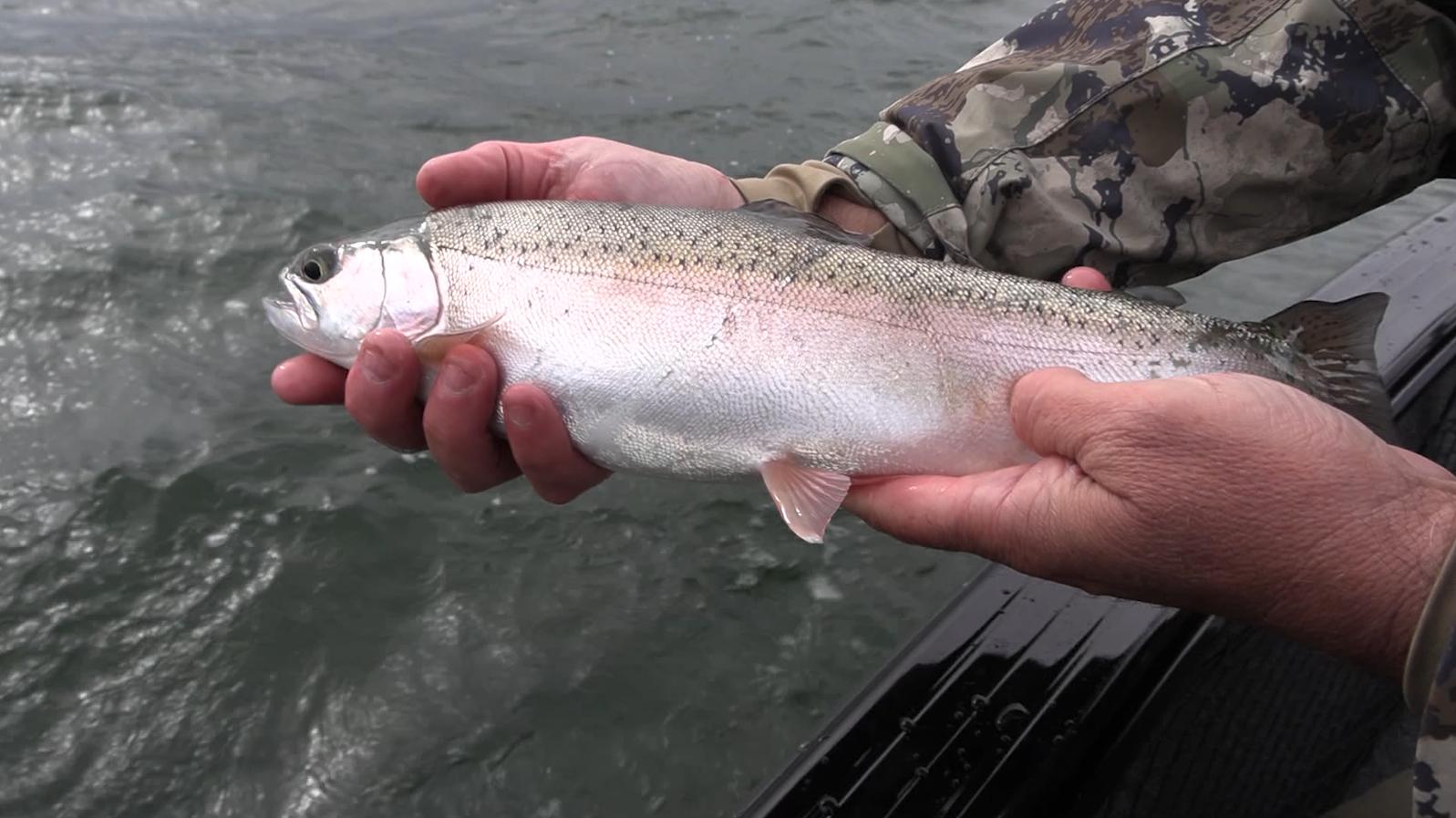 Why fall is one of the best times to trout fish at Strawberry Reservoir