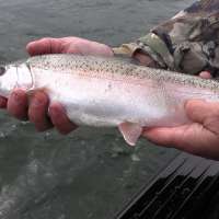 Why fall is one of the best times to trout fish at Strawberry Reservoir