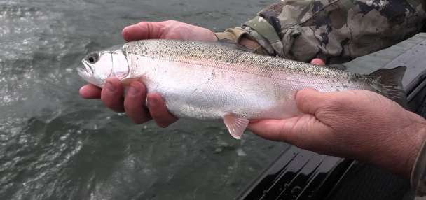 Why fall is one of the best times to trout fish at Strawberry Reservoir