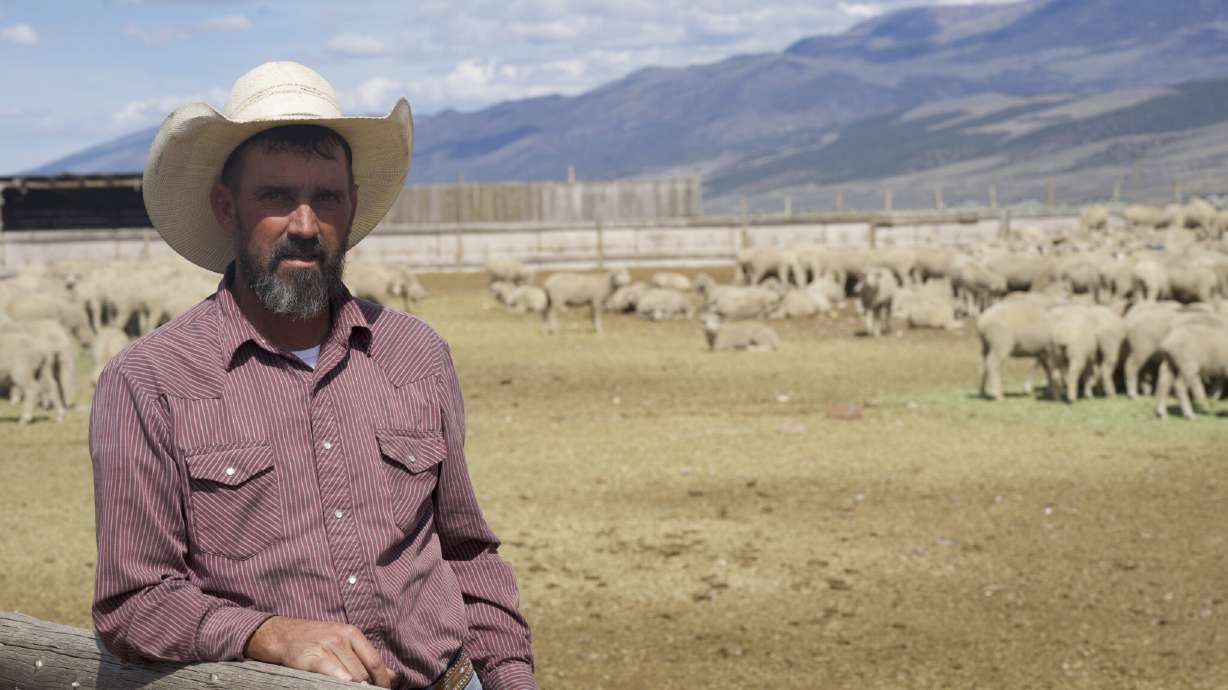 Sheep farmer and Republican Piute County Commissioner Will Talbot speaks with KUER. Talbot said in September he thinks southern Utah on the whole “has a different theory on life than people in Park City do.”