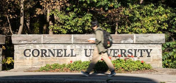 Cornell faculty to begin voting on no-confidence measure over handling of sexual assault allegations