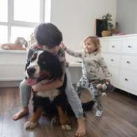 How to choose the right dog for your lifestyle