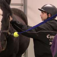 International athletes try adaptive sports at Park City's National Ability Center
