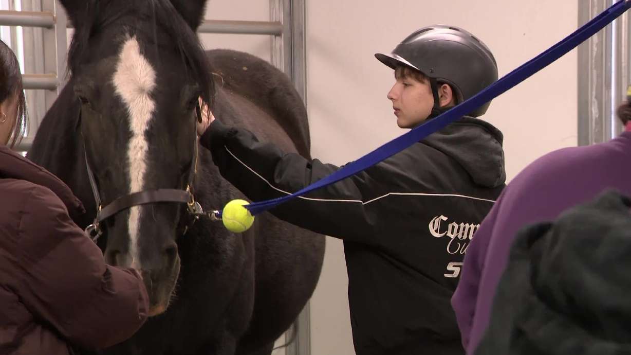 An athlete tends to a horse at the Park City National Ability Center on Thursday. International athletes are in Utah for a two-week exchange focused on adaptive sports.