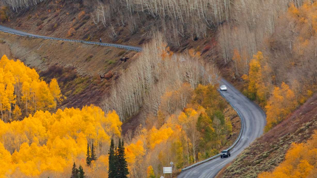 Motorists travel through the Wasatch County side of Guardsman Pass on Oct. 13. Utah transportation officials said the route will close for the season on Friday, followed by Alpine Loop on Monday, as wintry weather returns to the mountains.