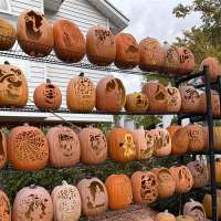 Farmington man's 30-year pumpkin carving hobby becomes Halloween tradition