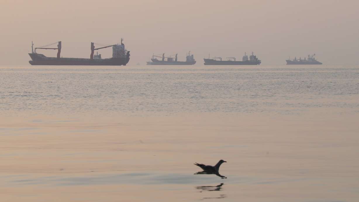 A bird flies low over the water as cargo ships lie at anchor in the Strait of Hormuz off Bandar Abbas, Iran, early Saturday, Oct. 24.