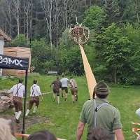 Have You Seen This? Toppling tree nearly takes out man at festival