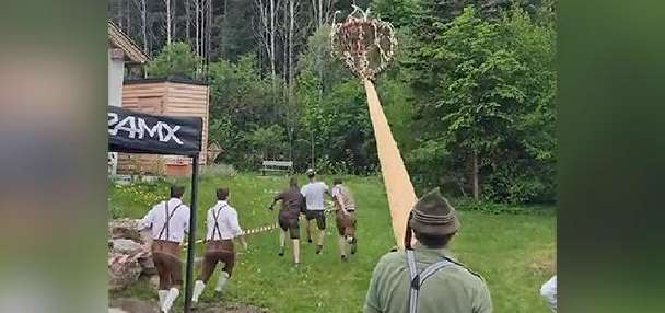 Have You Seen This? Toppling tree nearly takes out man at festival