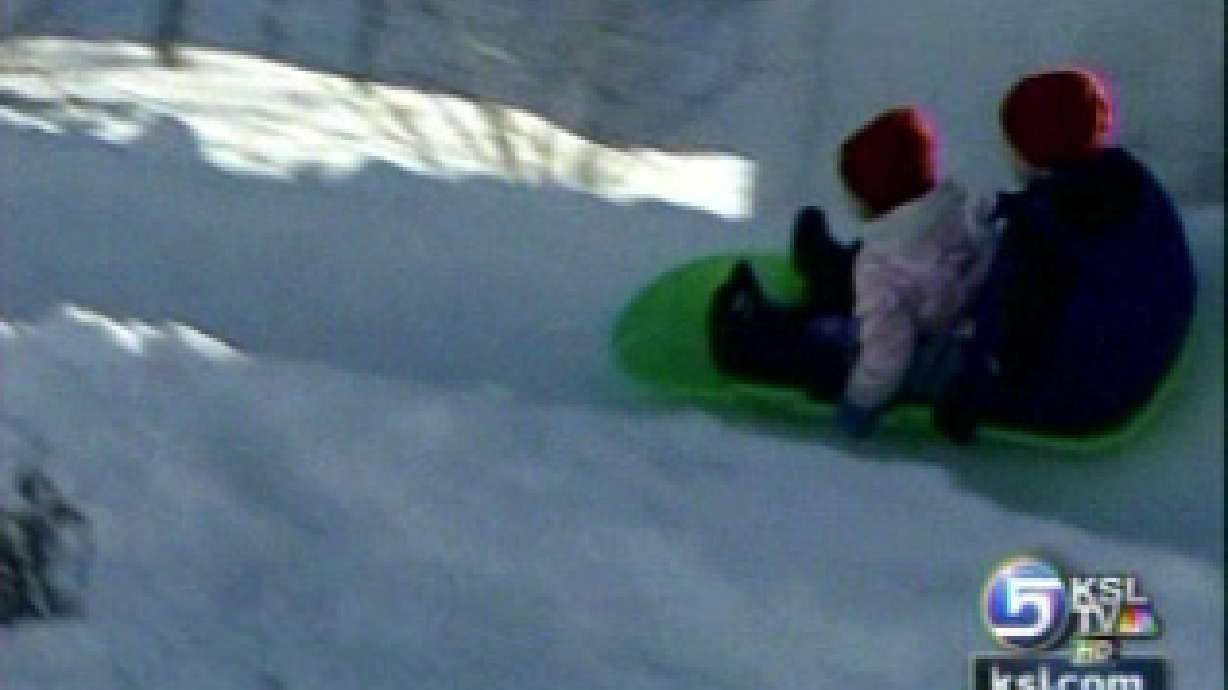 Family creates backyard ice luge