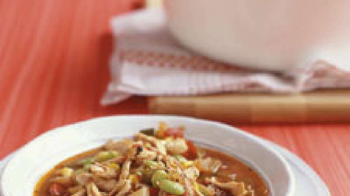 Chicken-Corn-and Lima Bean Stew