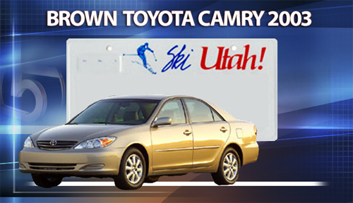 Police searching for vehicle involved in hit-and-run