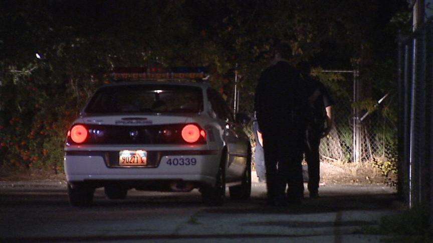 Hungry Bandit Steals Burritos