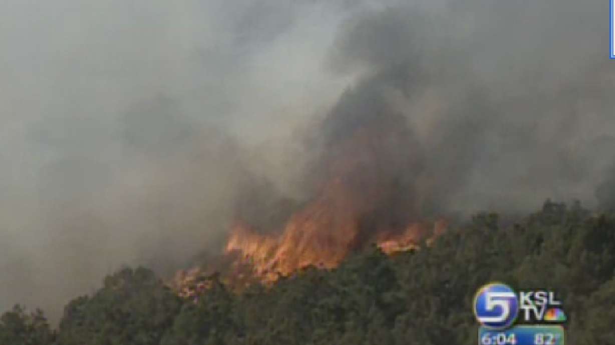 Wildfire Burning in Sanpete County Human Caused