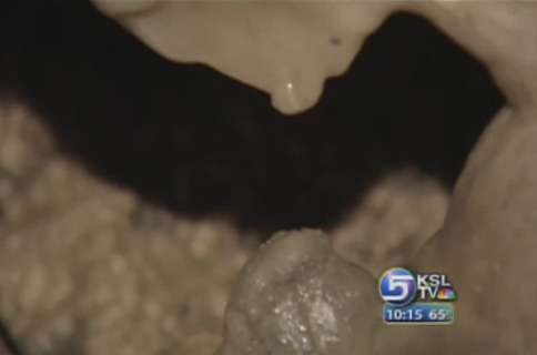 Ranger Has Been Guiding Tours of Timpanogos Cave Since 1944