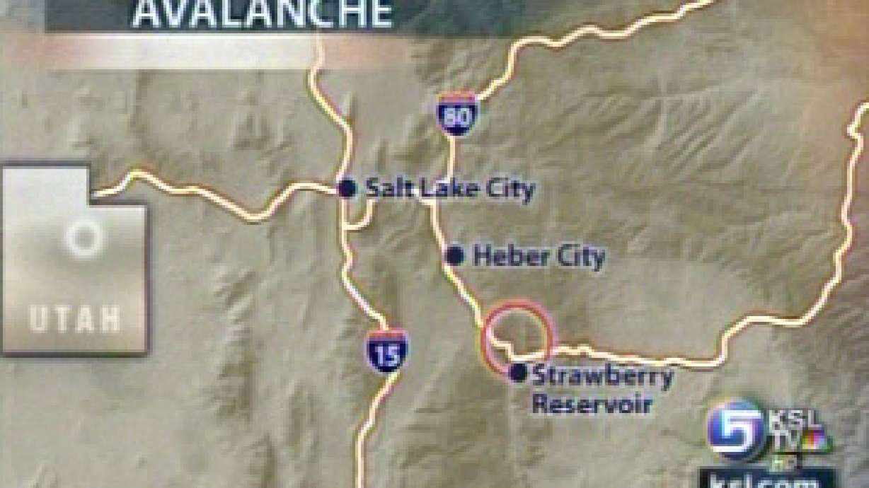 Beacon credited with saving avalanche victim