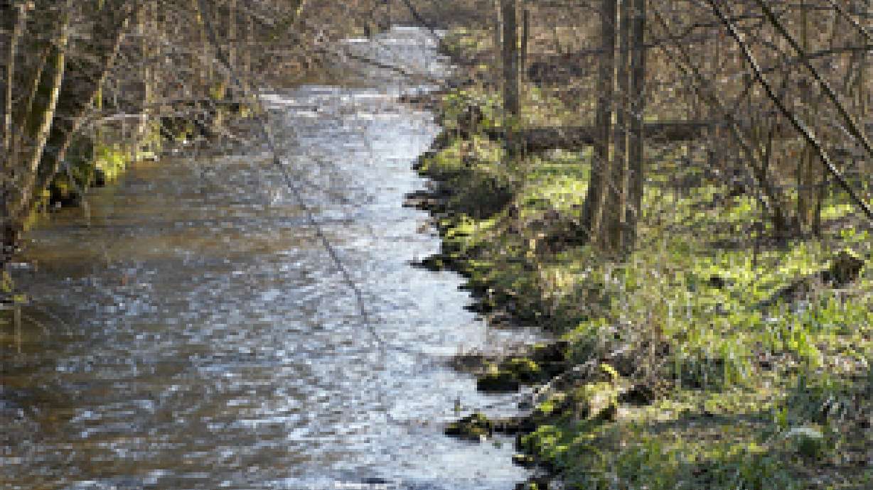 City council to vote on building near streams