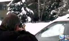 Moose wanders into Park City neighborhood