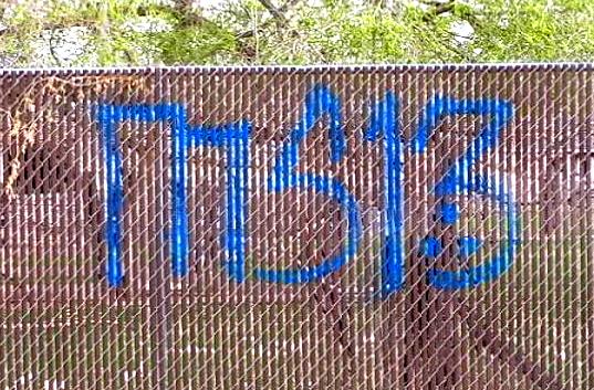 MS-13 street gang growing in the West